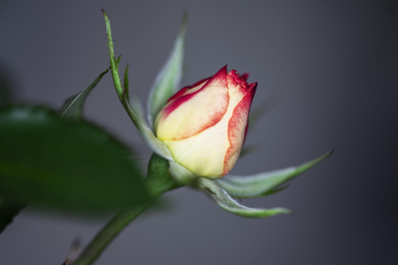 触动心灵的瞬间，探索让人心疼的男生头像