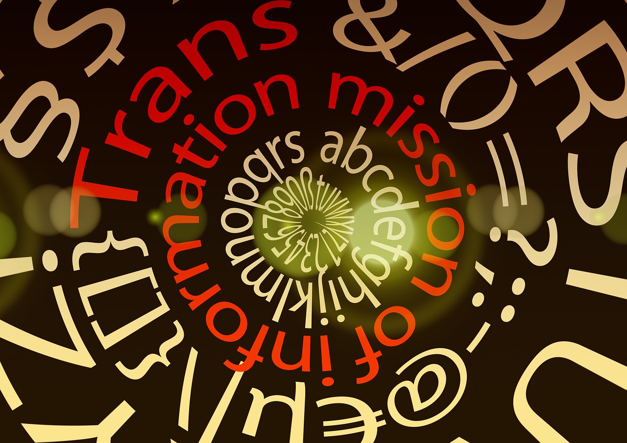 寻找我的世界，书籍的宝藏与知识的力量