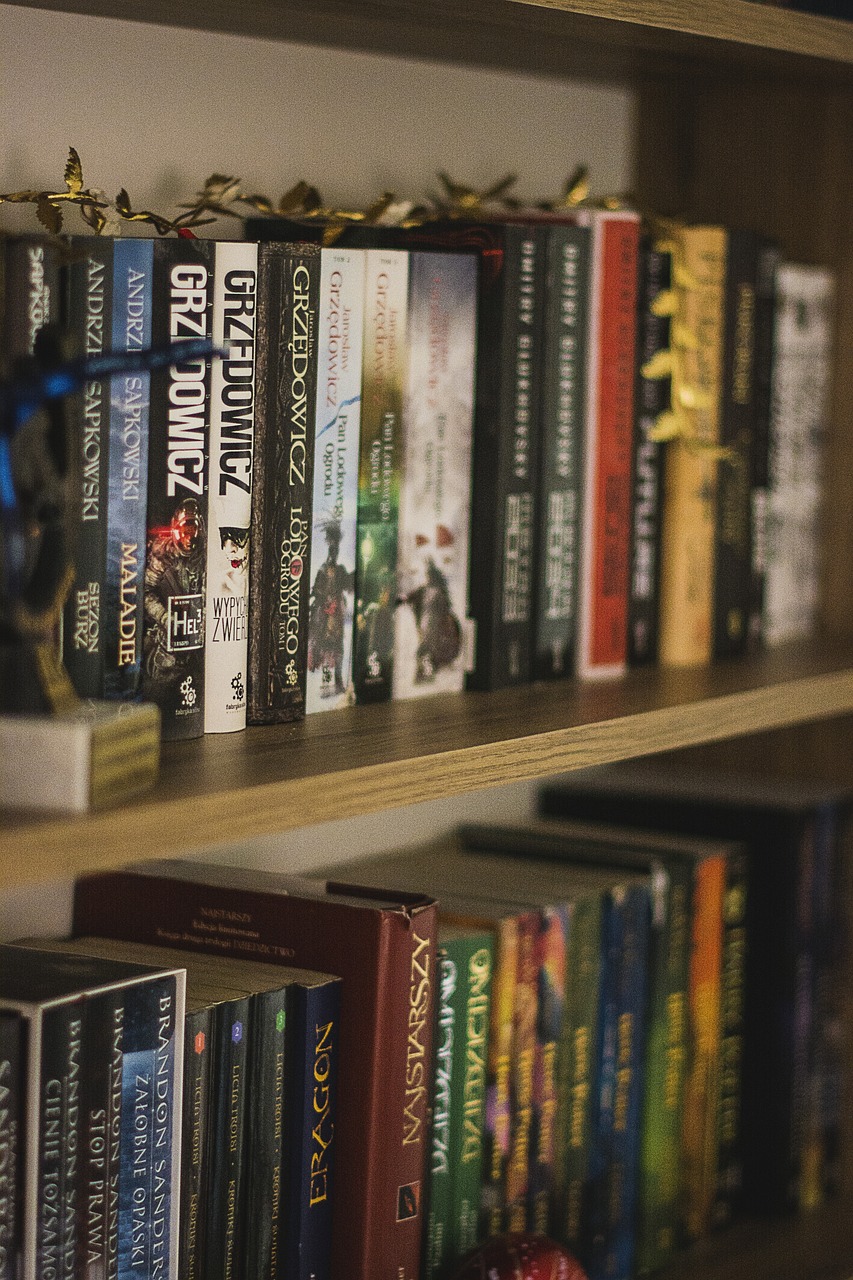 探索无限可能，我的世界系列图书的奇妙之旅