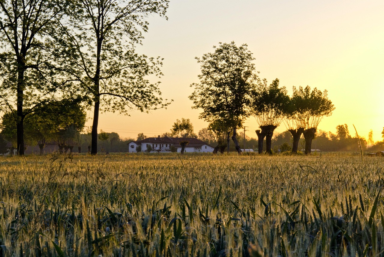 生活如画，文案如诗，如何在日常生活中捕捉风景与文案的完美融合
