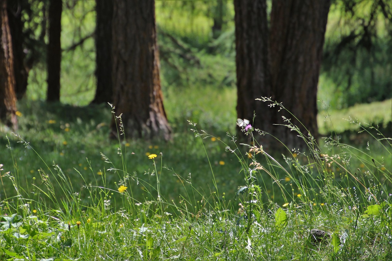 60字热爱生活的美句，点亮日常，温暖心灵