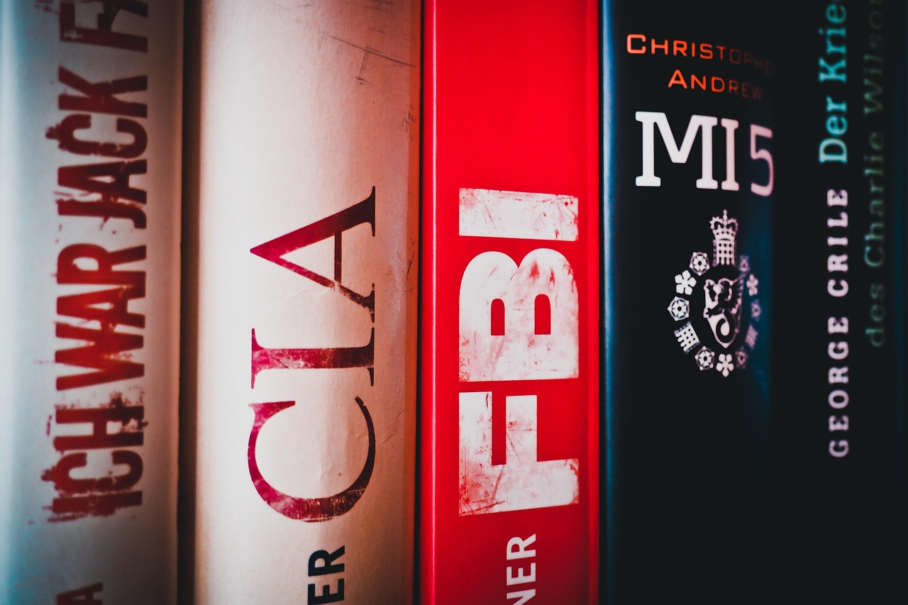 阐教小说，晋江文学中的神秘与魅力