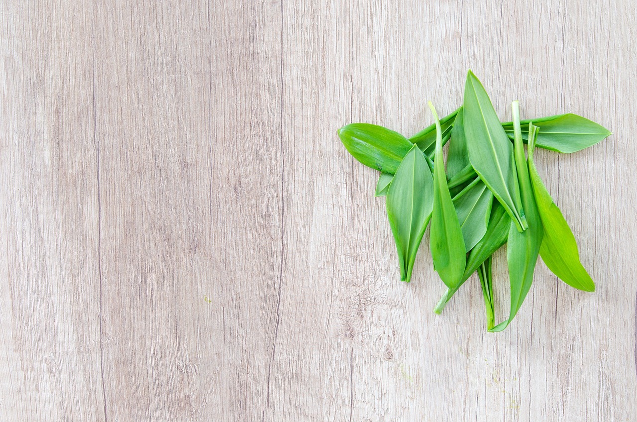 健康养生八段锦，杨柏龙的养生之道