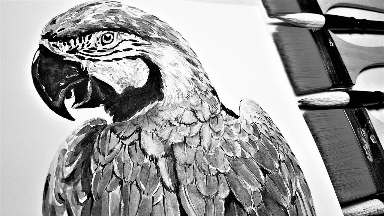 动物小百科怎么画，用画笔探索自然奥秘