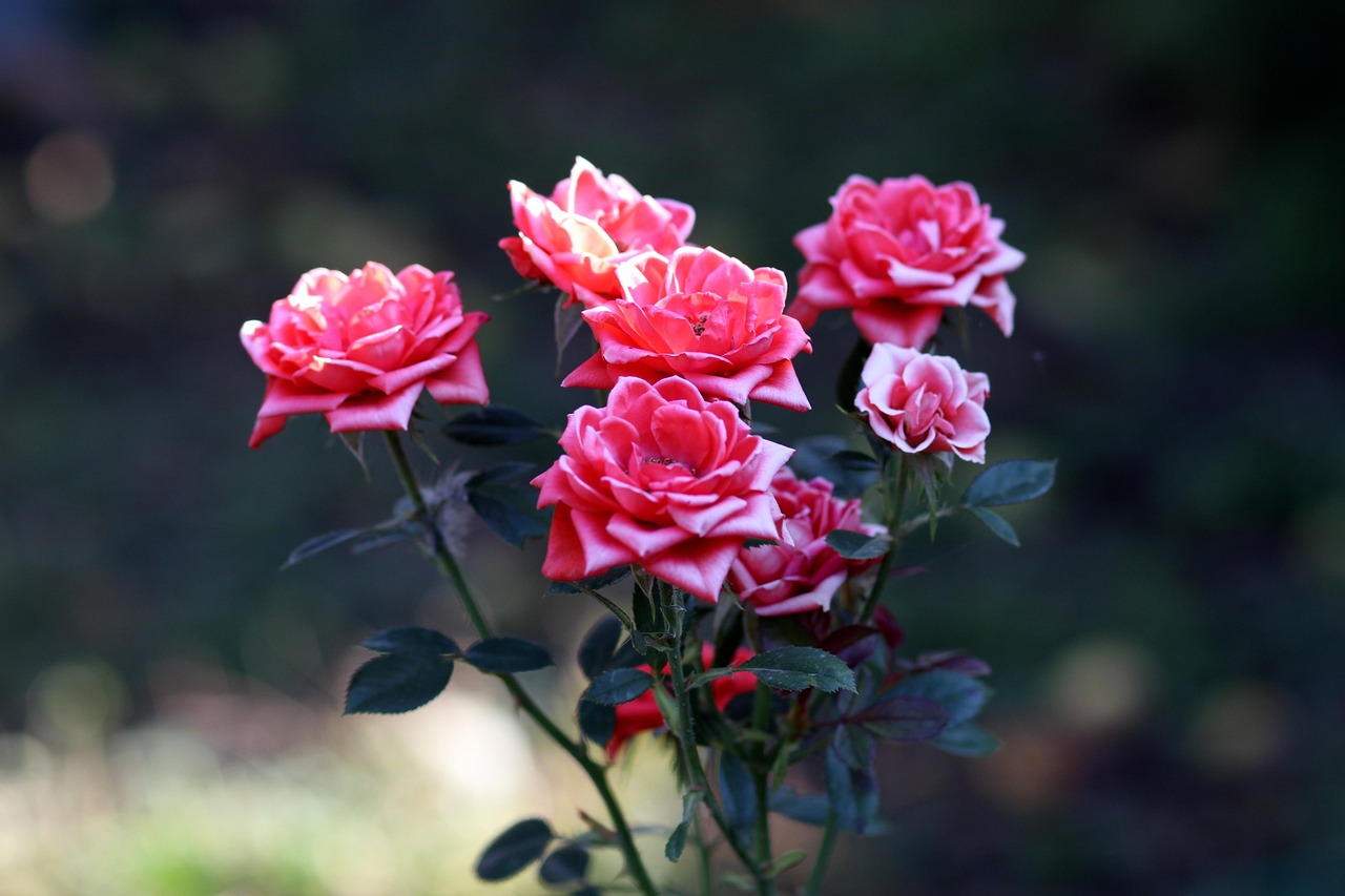 朋友圈里的诗意生活，精选适合分享的句子