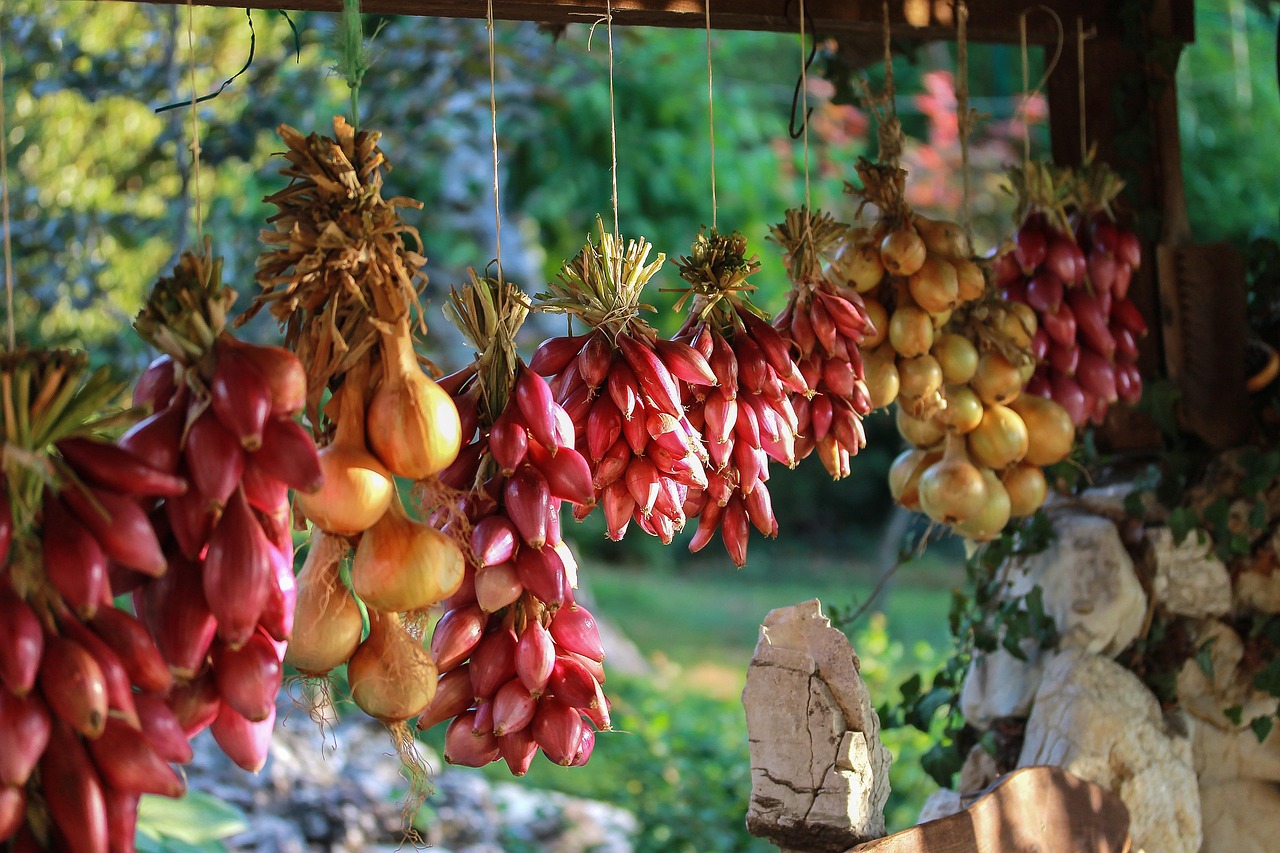 探索花花世界，唯美图片的艺术与魅力