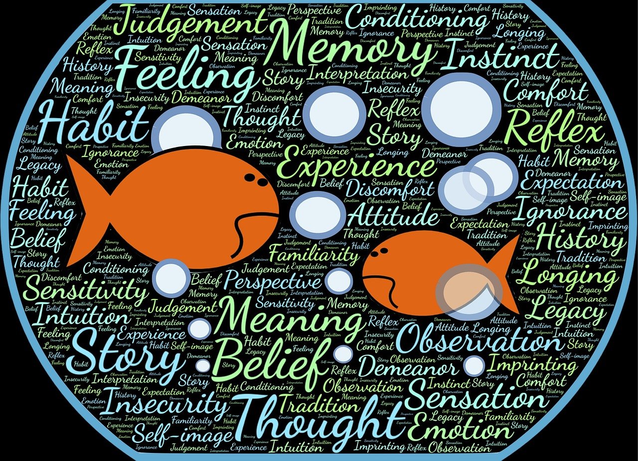 经验主义的实践智慧，16个典型事例的深入解析