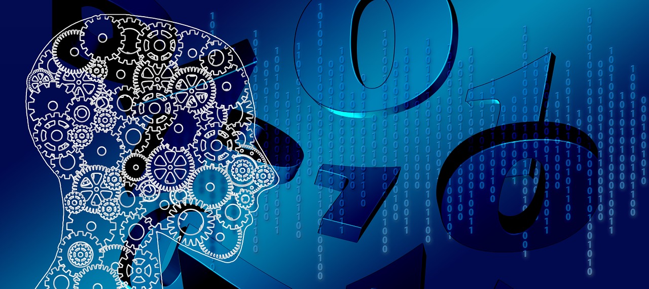 穿越时空的窗口，探索2024年生活圈视频回放的奥秘