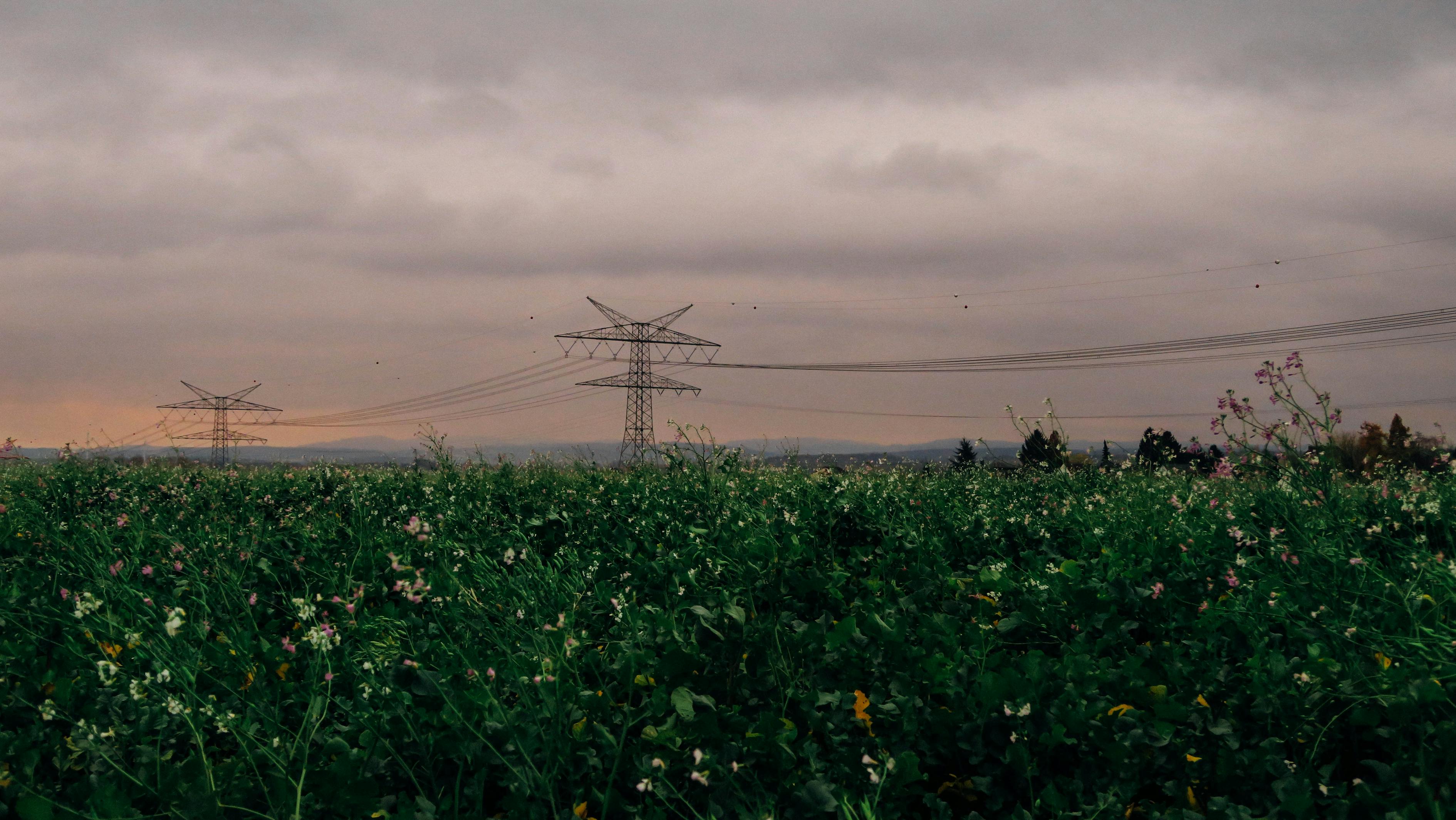 岁月静好，在平凡中寻找生活的真谛