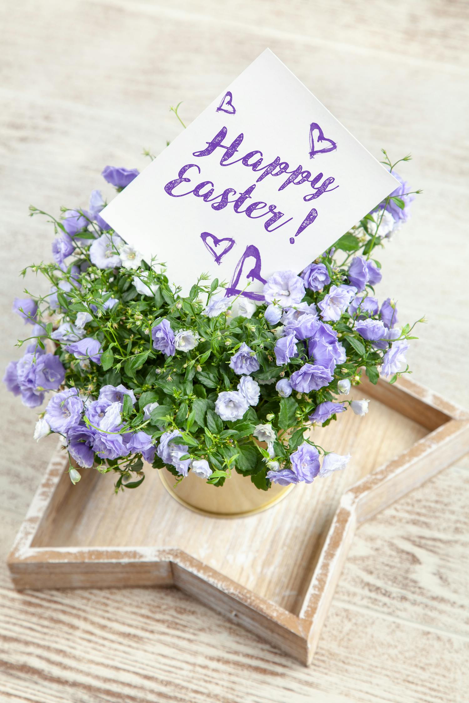 用花语传递爱，为母亲挑选最合适的花束