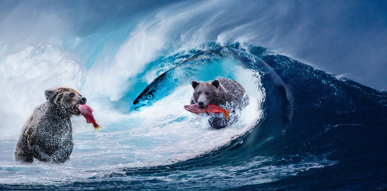 经验丰富，成语中的智者与行者