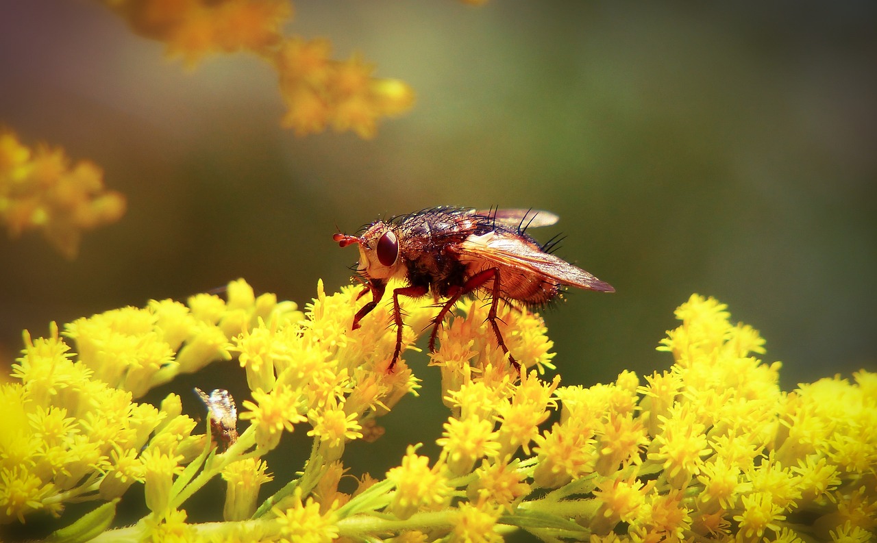 生活的智慧，感悟说说的艺术与魅力
