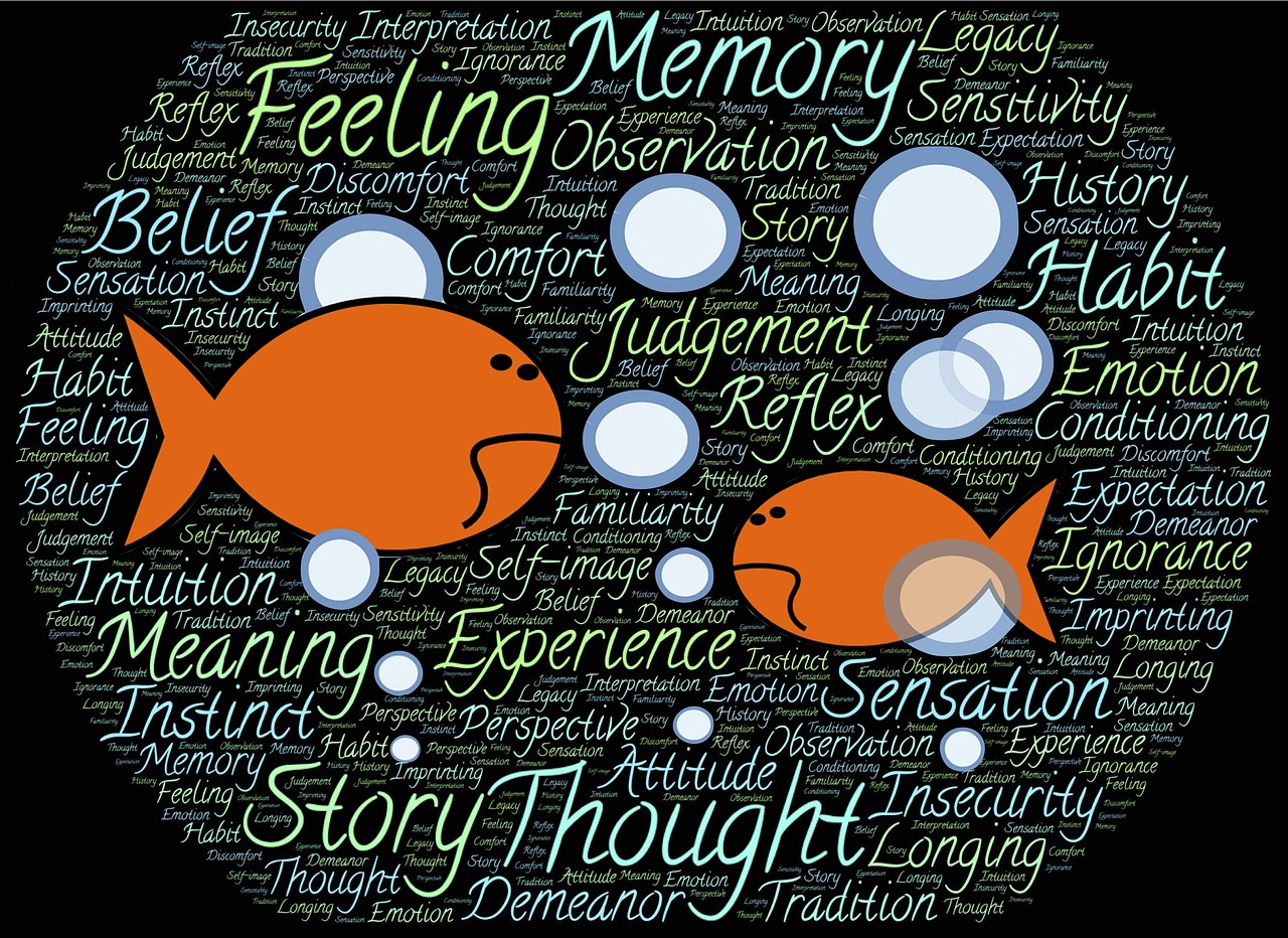 你不知道的国家冷知识，新西兰篇