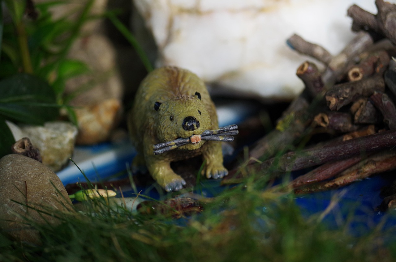 大全，激发孩子好奇心的宝藏