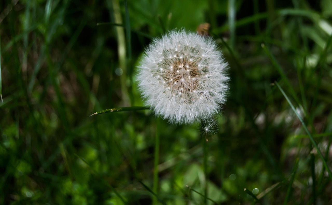 独立生活的艺术，简短而深刻的坚强生活格言