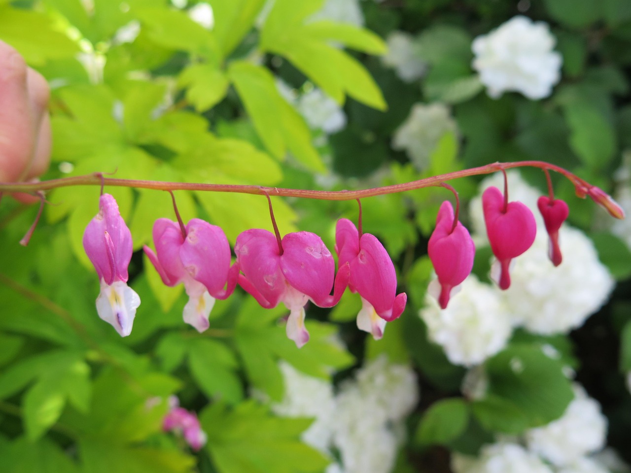 深刻领悟，人生最现实的句子文案