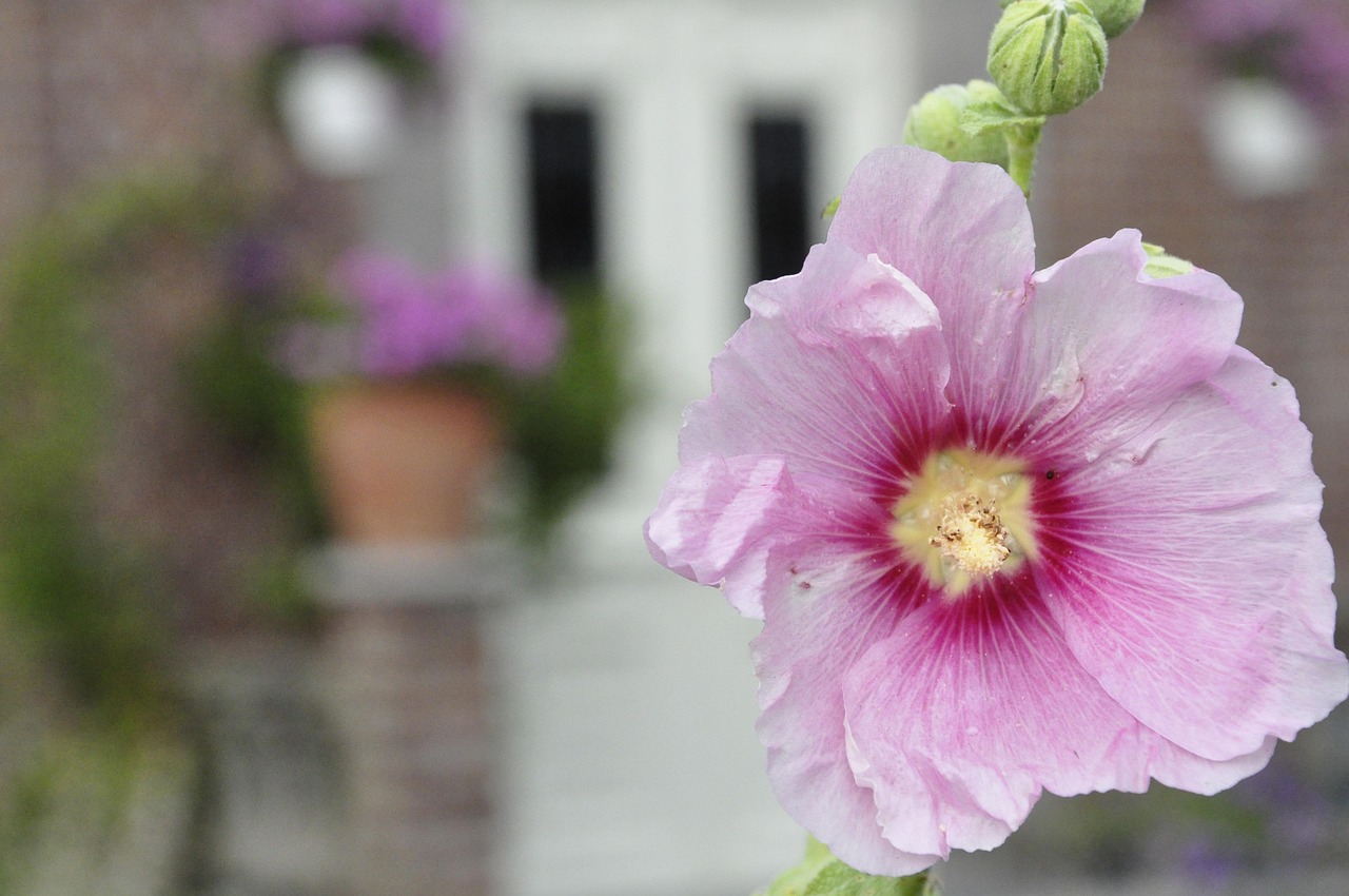 岁月静好，感悟生活，经典人生哲理图鉴