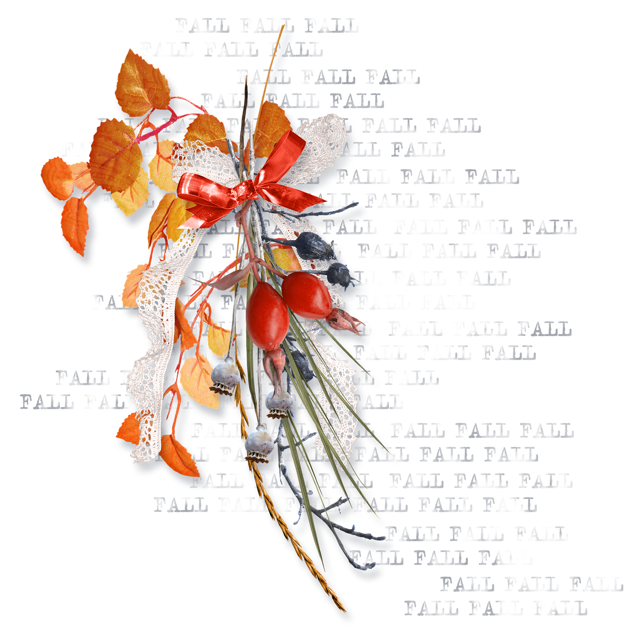 探索英语的多彩世界，语言的丰富性及其魅力