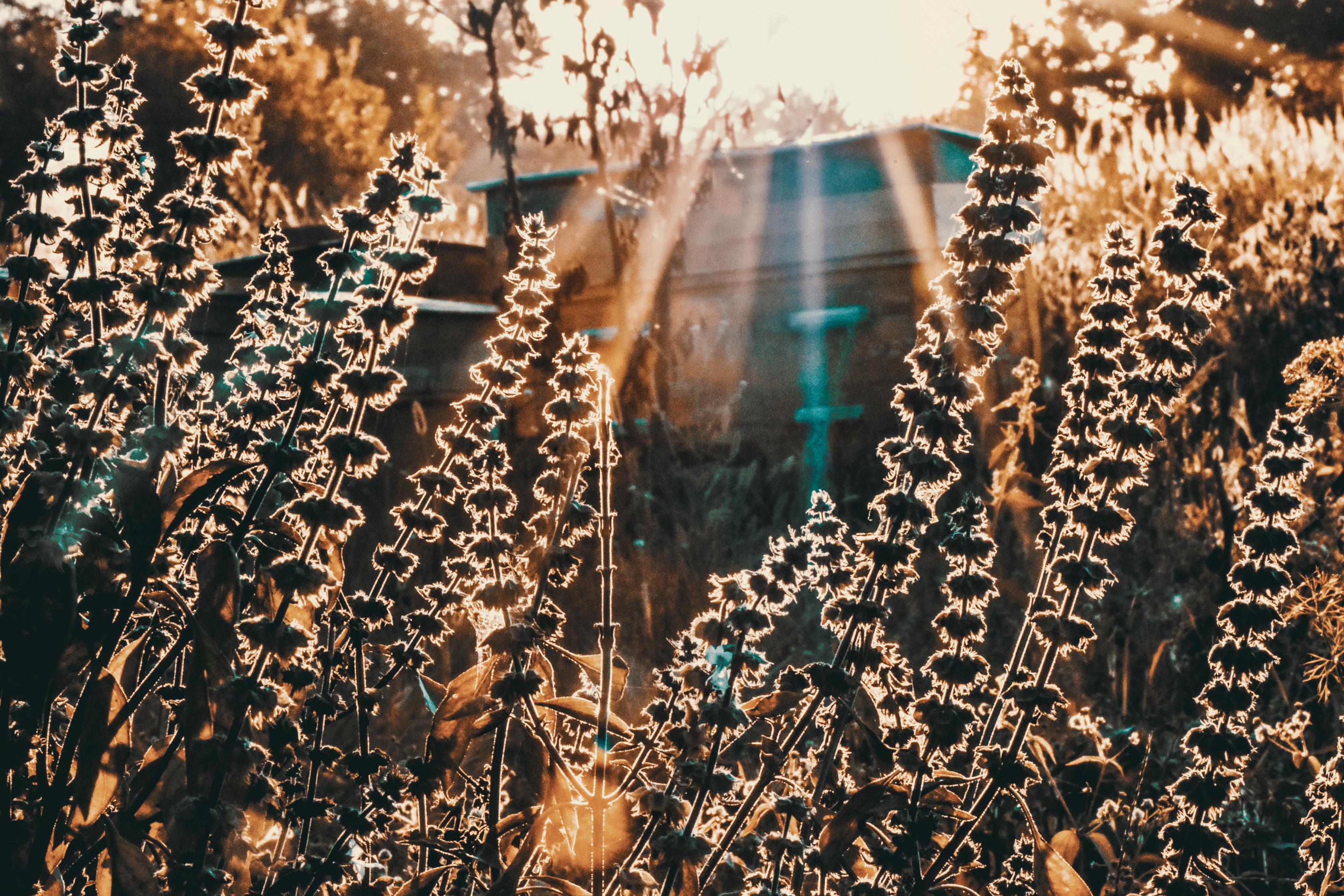 分享的力量，如何让经验成为成长的催化剂