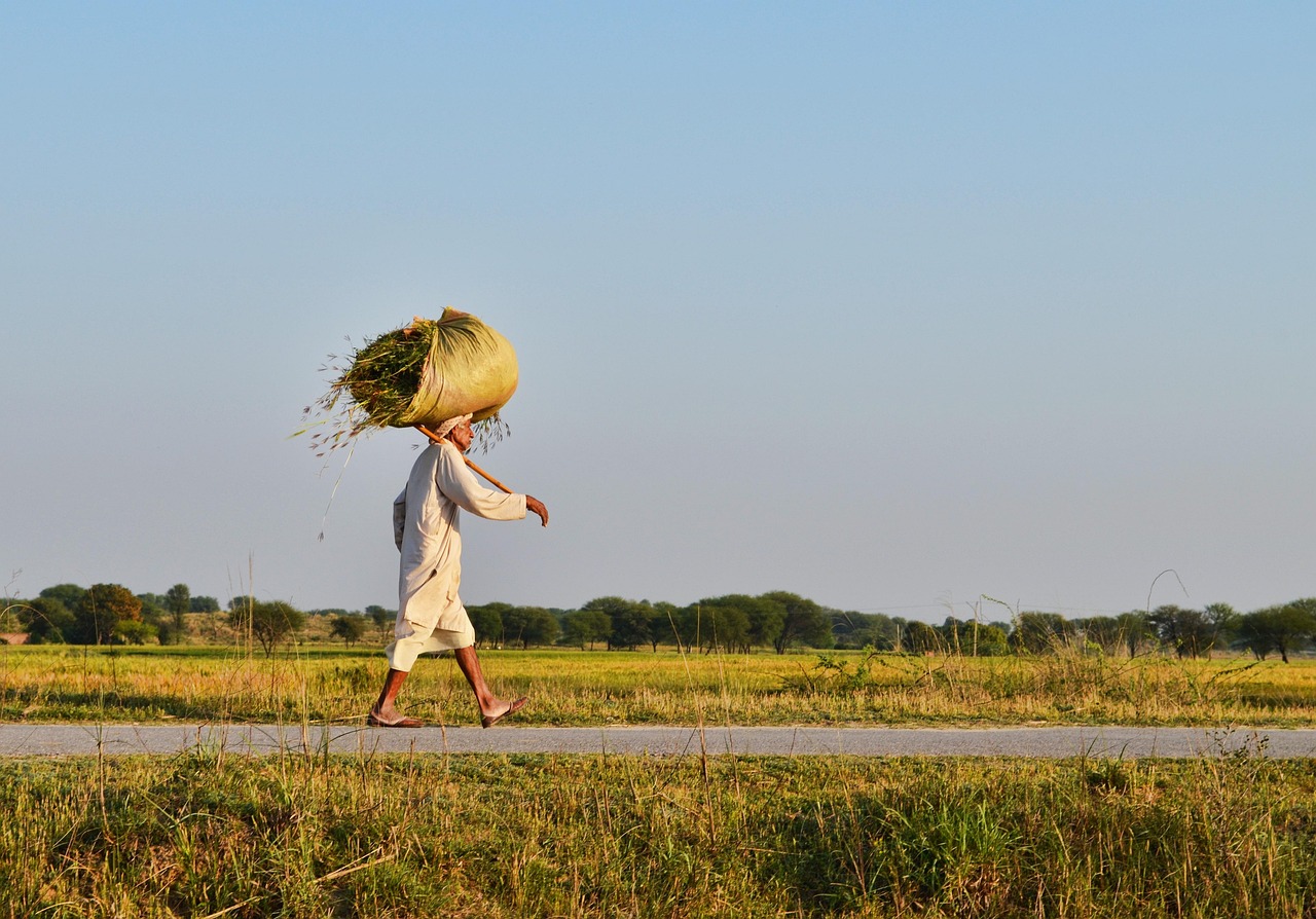 生活的温度，那些温暖人心的简短句子