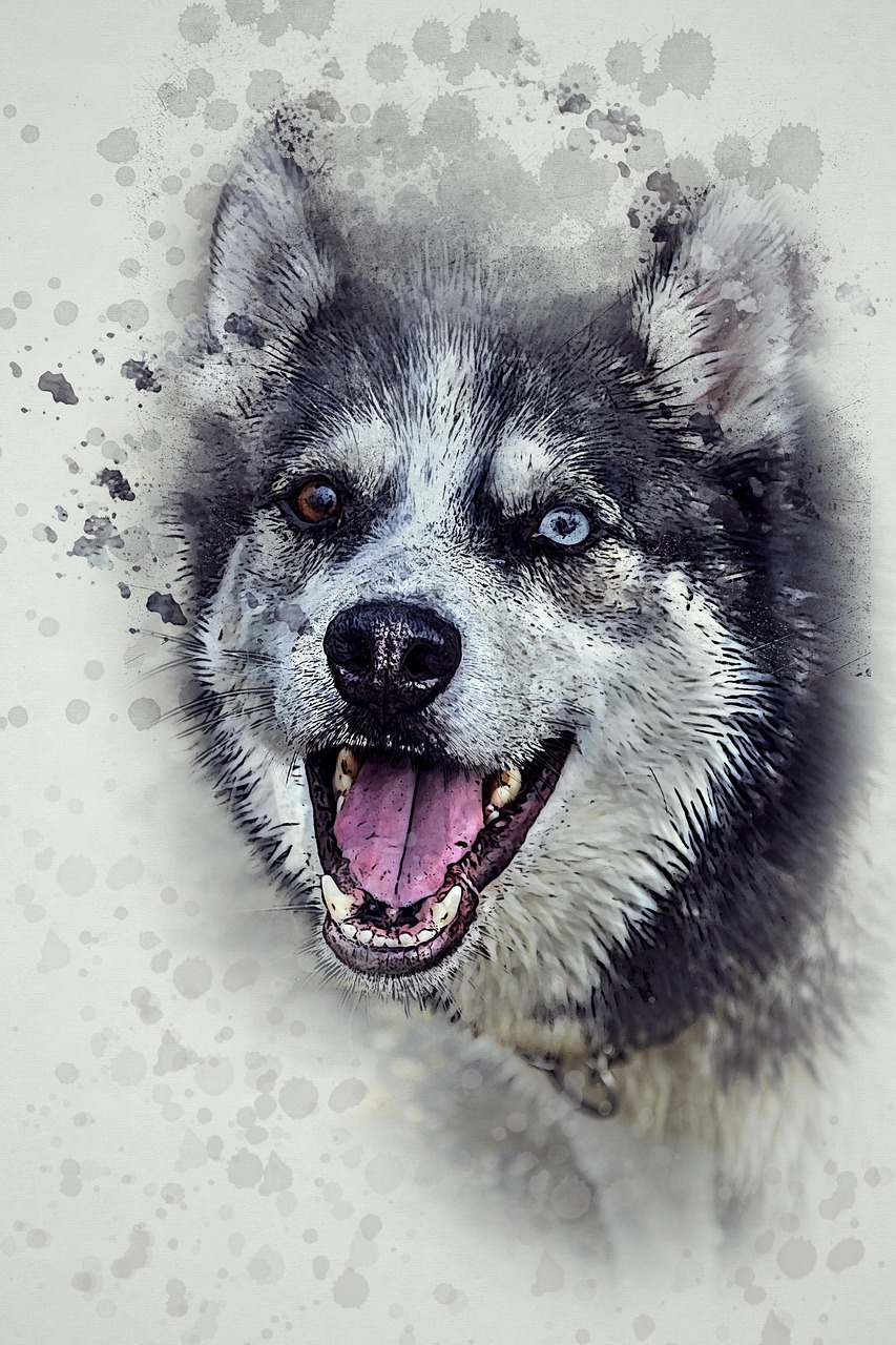 动物百科电子版,探索数字化时代的自然奥秘