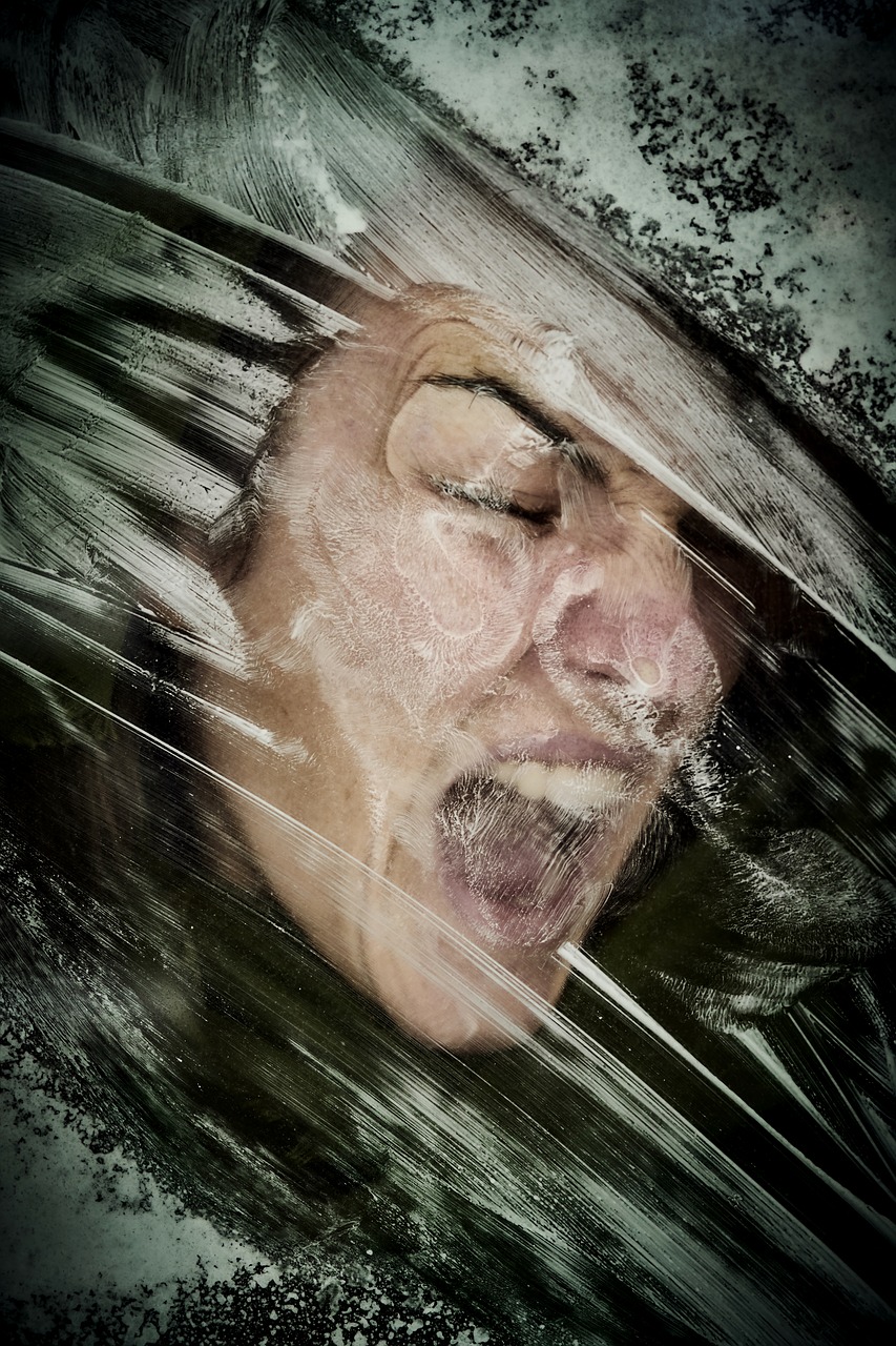 探索蛇类王国，揭示蛇类特征的神秘面纱