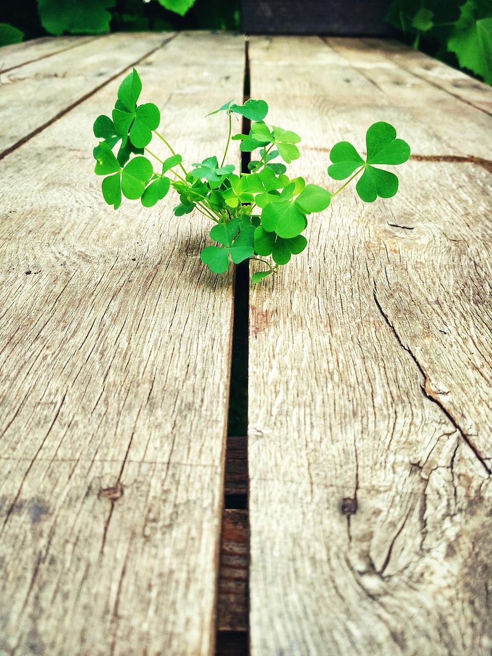 2020年，逆境中的坚韧与成长—年度人生总结经典语录