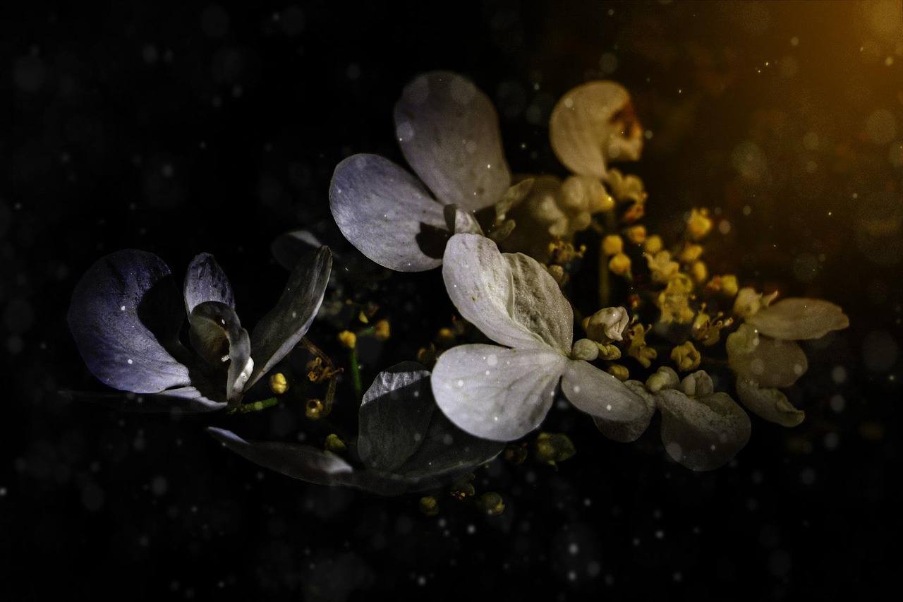 雨滴中的哲思，短短一句说透人生听雨的艺术