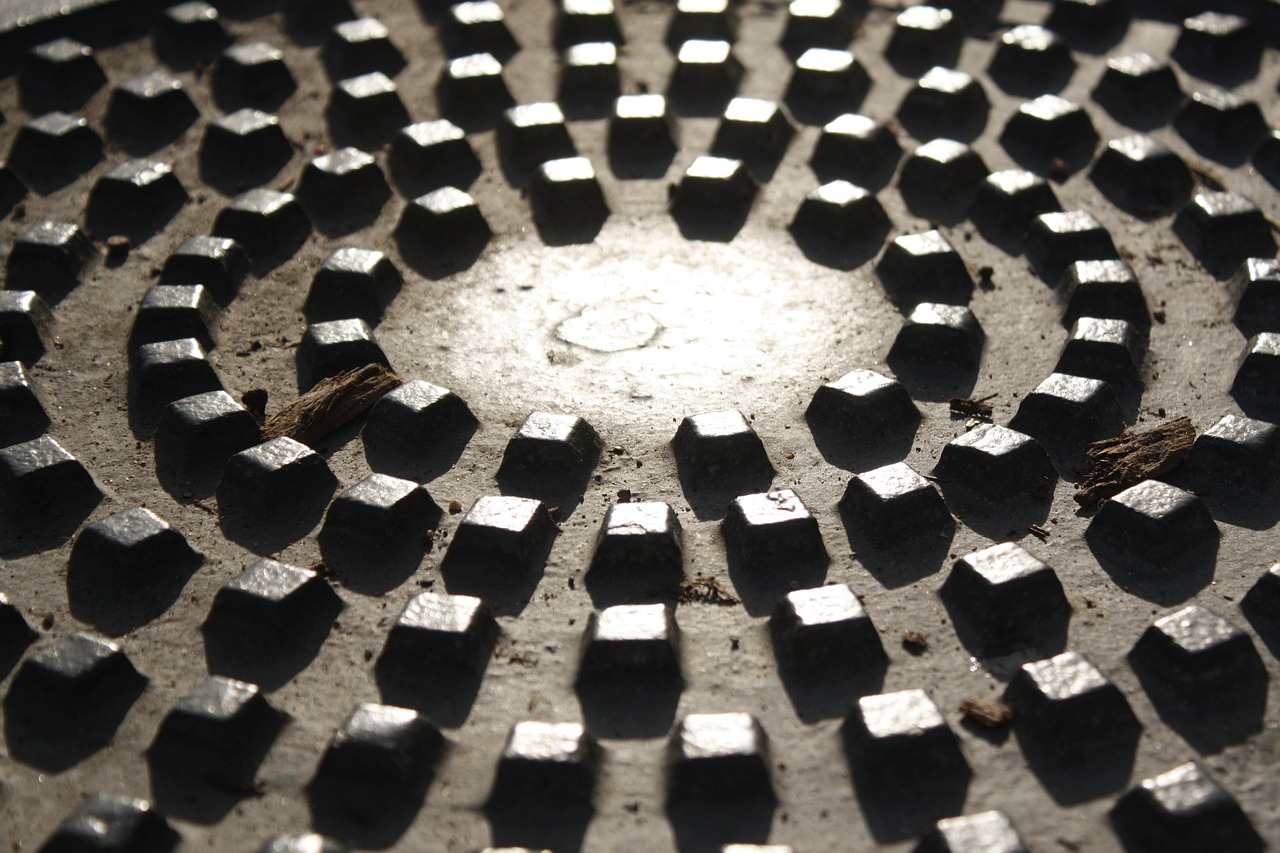 探索神秘蛇界，蛇的种类与图片介绍