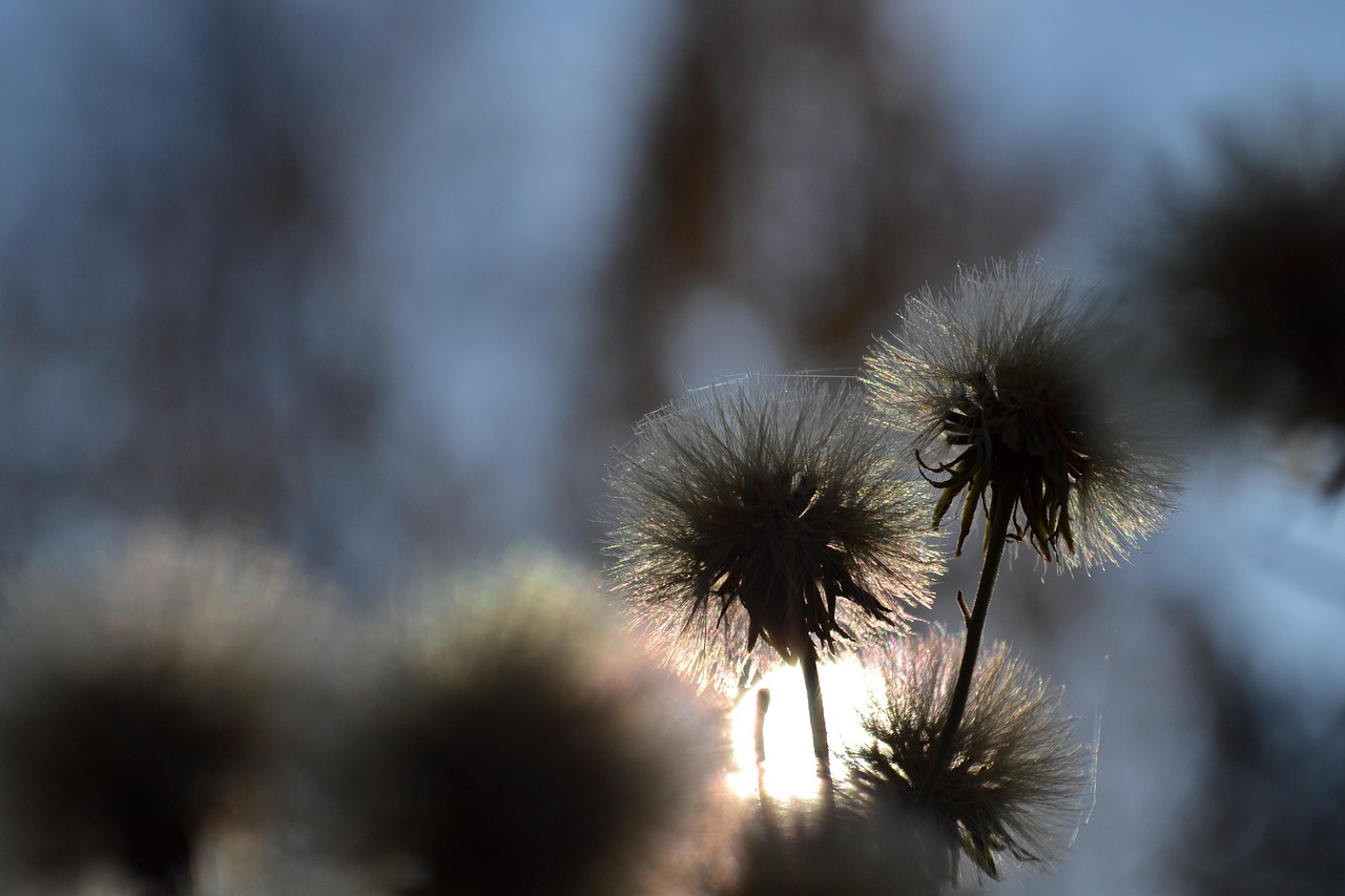 生活随心，悠然自得，短句中的生活哲学