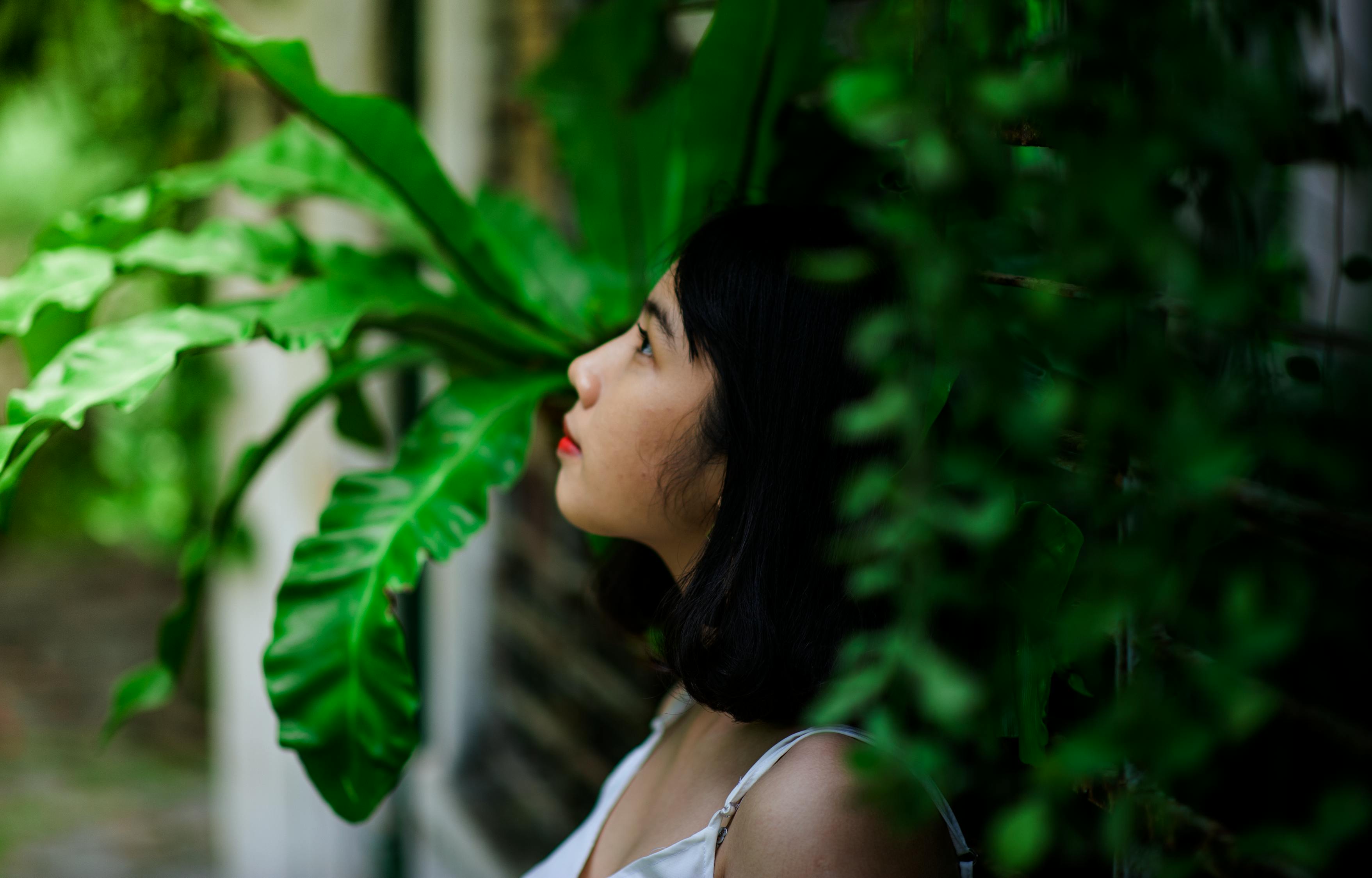 师兄到底有多强,揭秘武林中的传奇人物