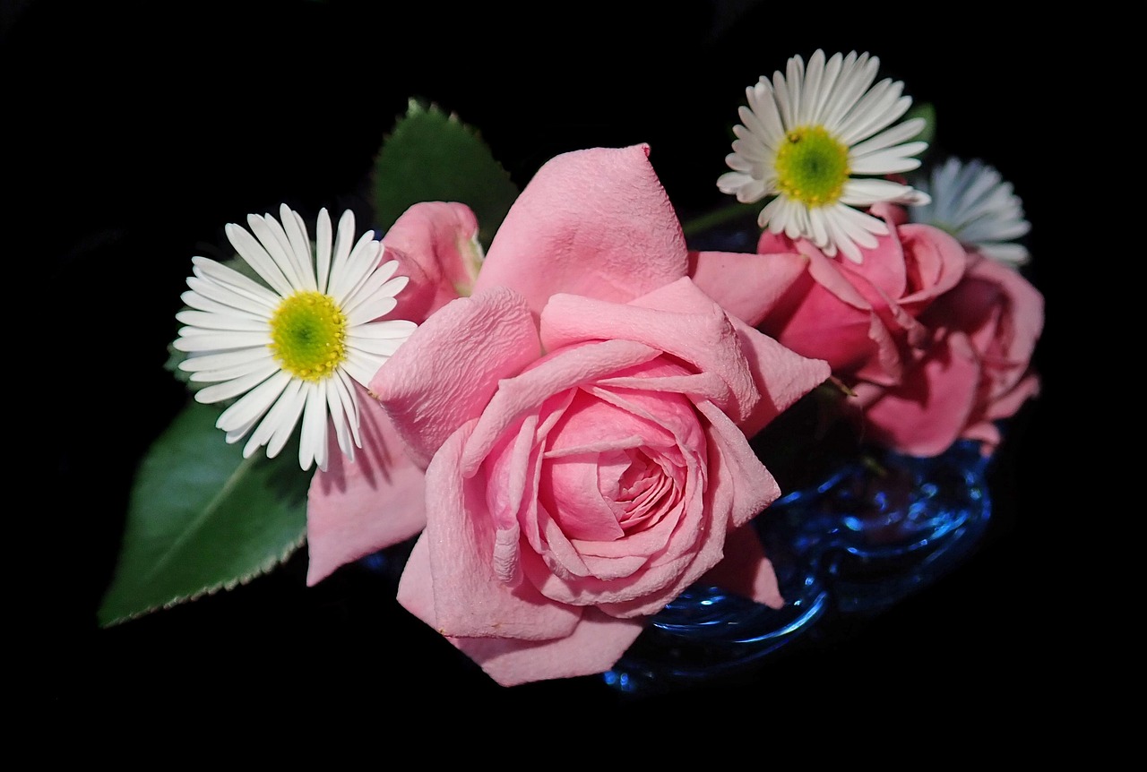 探索花卉世界，名字、图片与故事