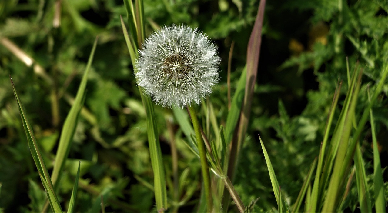 生活的智慧，经典语录中的深刻感悟