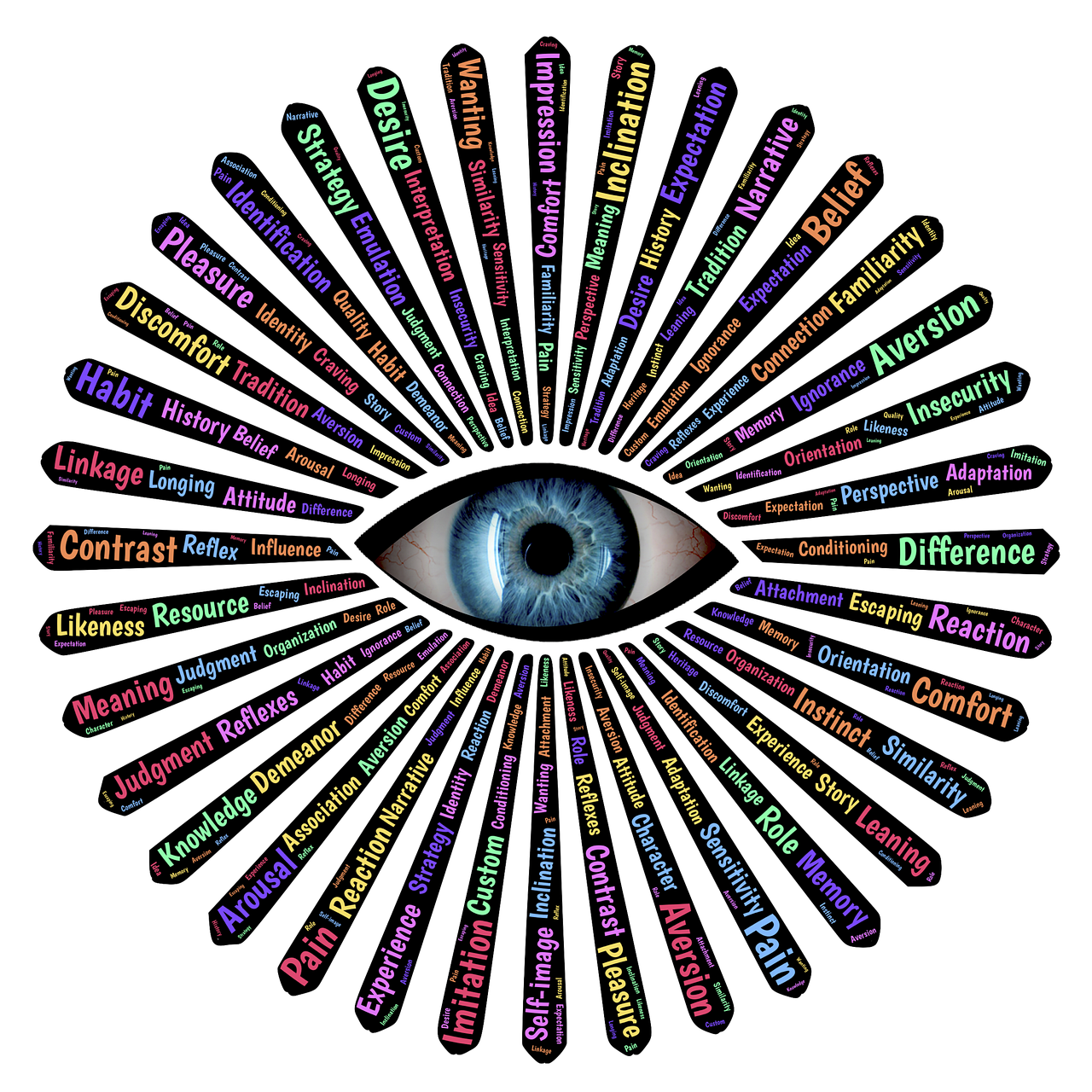 经验主义哲学的灯塔，核心人物及其思想深度解析
