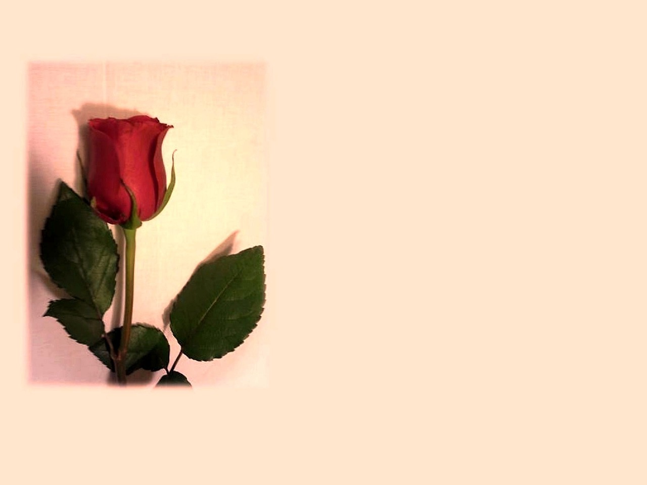 生活的真谛，朋友圈里的真实感悟