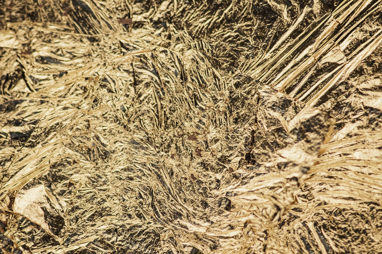 草药宝库，揭秘农村100种草药图片的奥秘与魅力