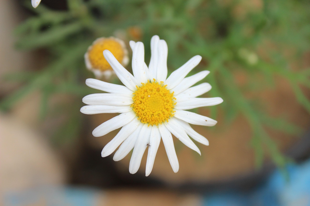 感悟生活，书写人生，朋友圈文案的深刻与魅力