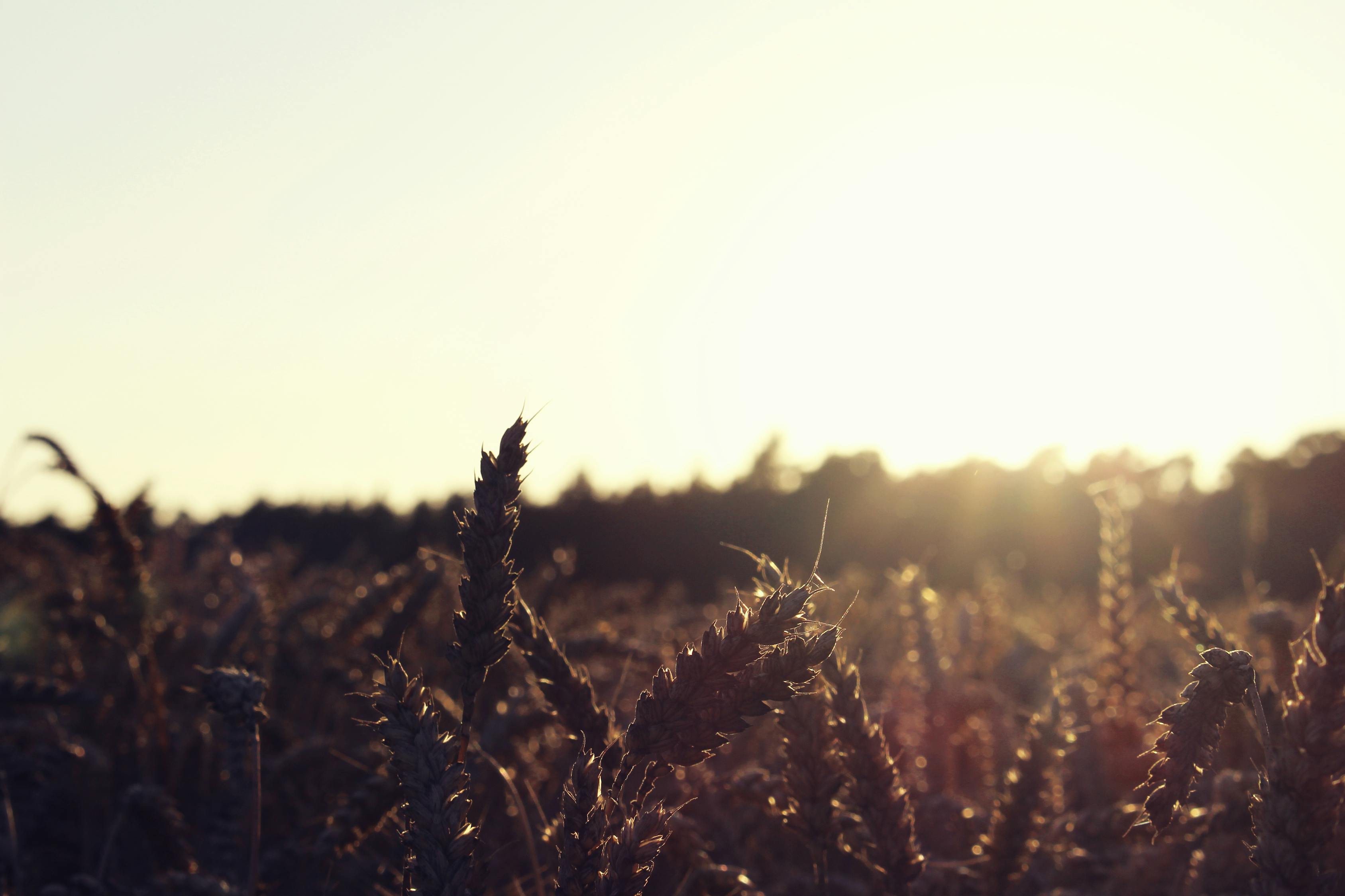 生活不易，但正能量永存，朋友圈正能量句子分享