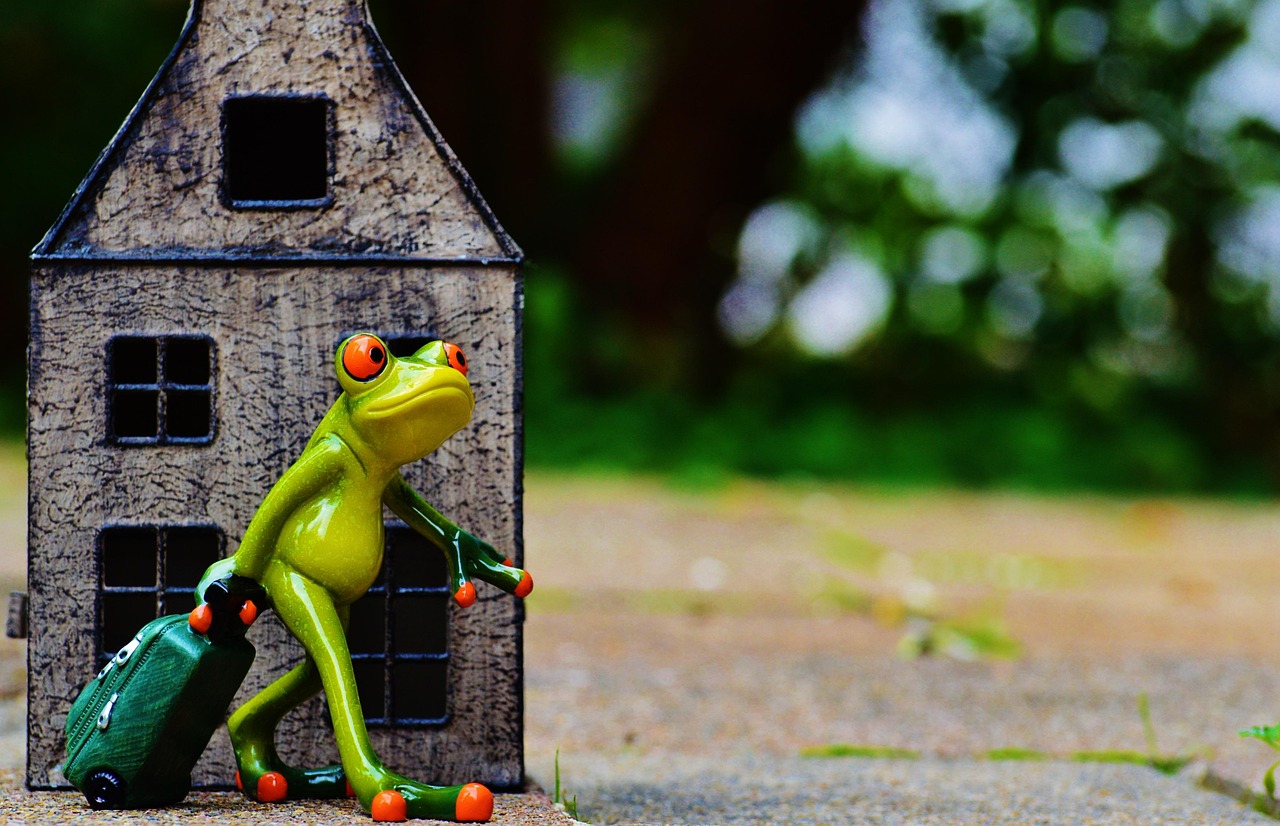 生活调味剂，幽默搞笑图片，让日常不再单调