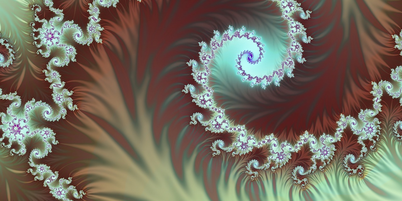 蝴蝶小百科绘本，探索多彩世界的奇妙之旅