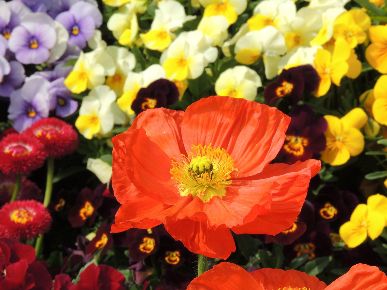 花花世界，网络用语的多彩世界