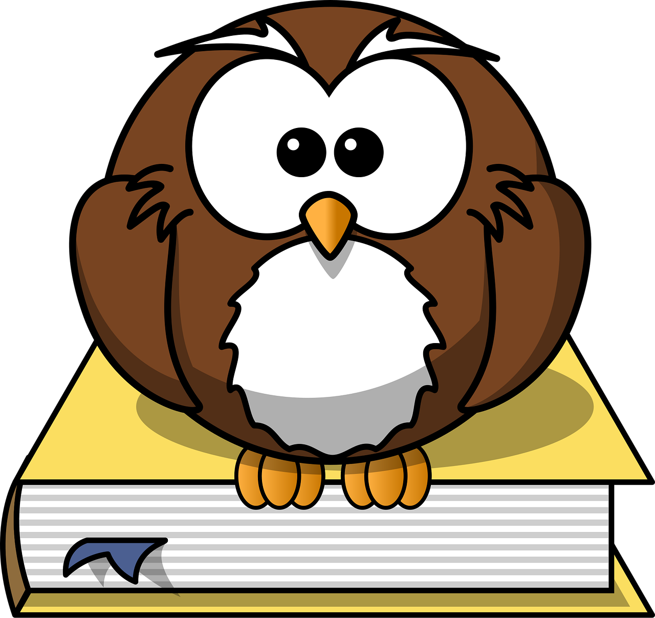 冷知识大全，揭秘那些让你眼前一亮的实用小秘密