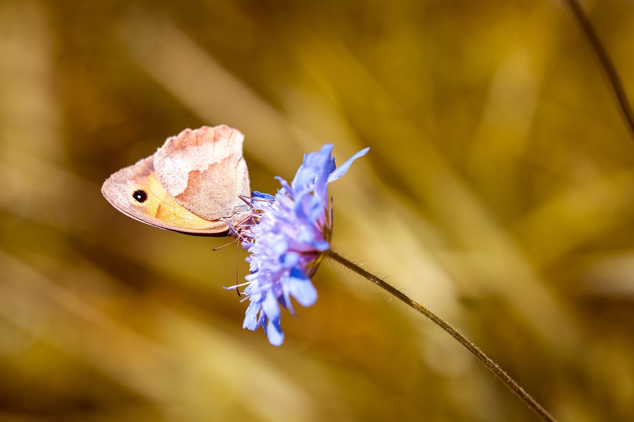 探索有深度有涵养的句子，智慧与情感的交织