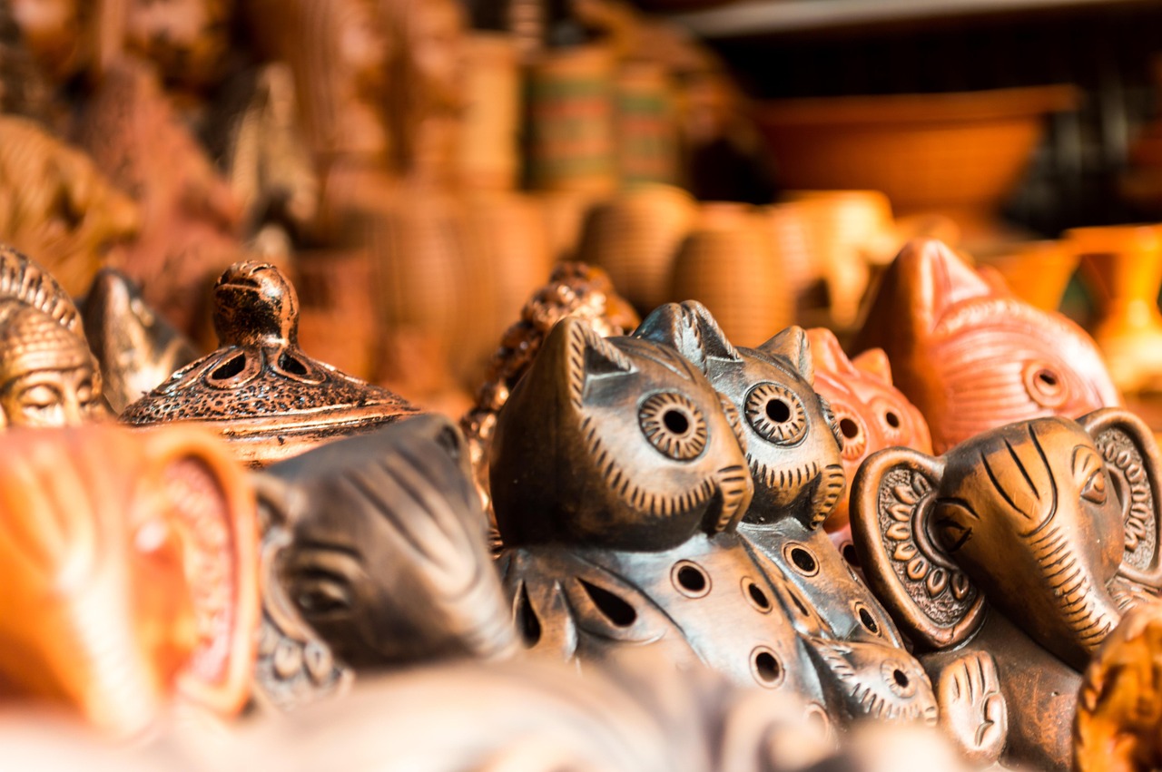 探索动物王国的奥秘，动物百科动画的魅力与教育价值